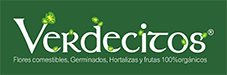 Inicio