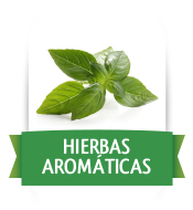 Hierbas Aromáticas