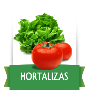 Hortalizas con hoja