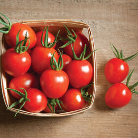 TOMATE CHERRY - Imagen 2