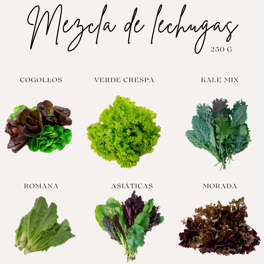 COSECHA DEL DÍA - Imagen 2